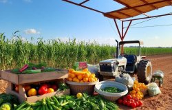 Пищевое и сельскохозяйственное оборудование: как выбрать, ухаживать и не потерять в доходах